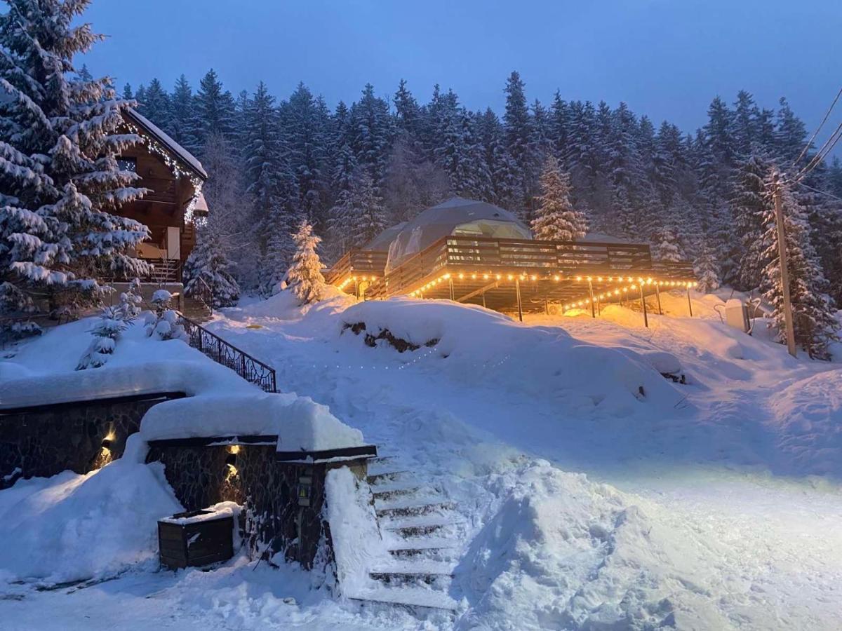 Karpatski Dzherela Yaremche Exterior foto